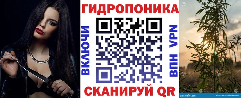 Купить закладку Альфа ПВП Мефедрон АМФ КОКАИН Бабаево