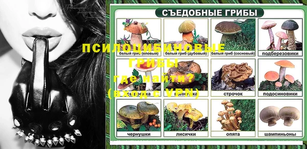 бошки Богданович