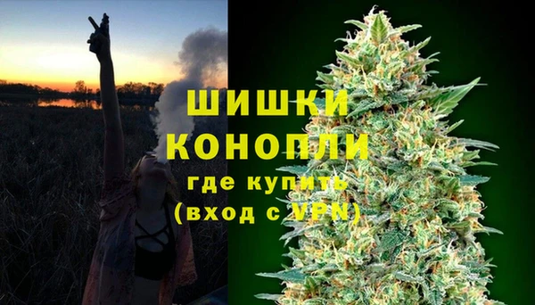 дмт Богородск