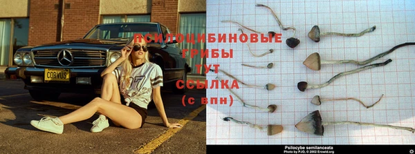 дмт Богородск