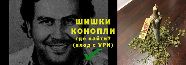 бошки Богданович