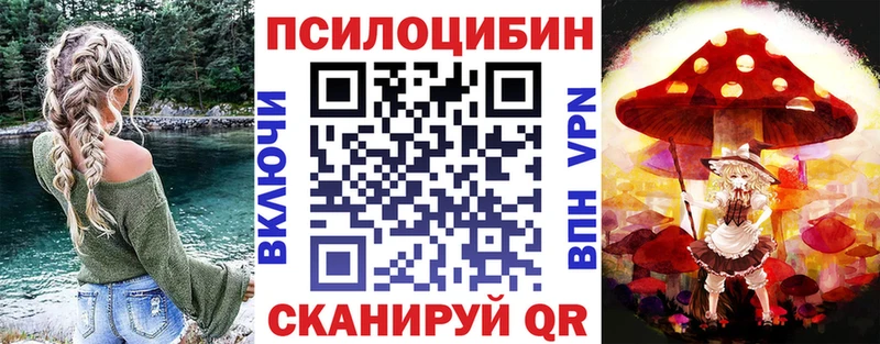 Галлюциногенные грибы Psilocybine cubensis  Купить  Бабаево 